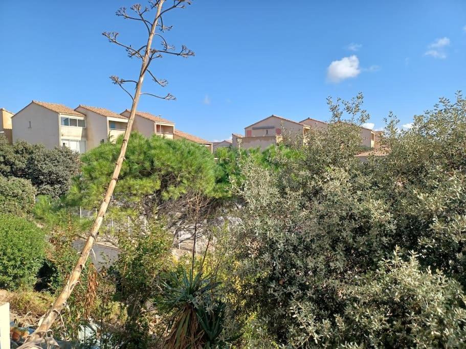 פלורי Plain-Pied, Terrasse, Piscine, Pleine Vue Mer, Plage A 6' A Pied, Parking, Wifi מראה חיצוני תמונה